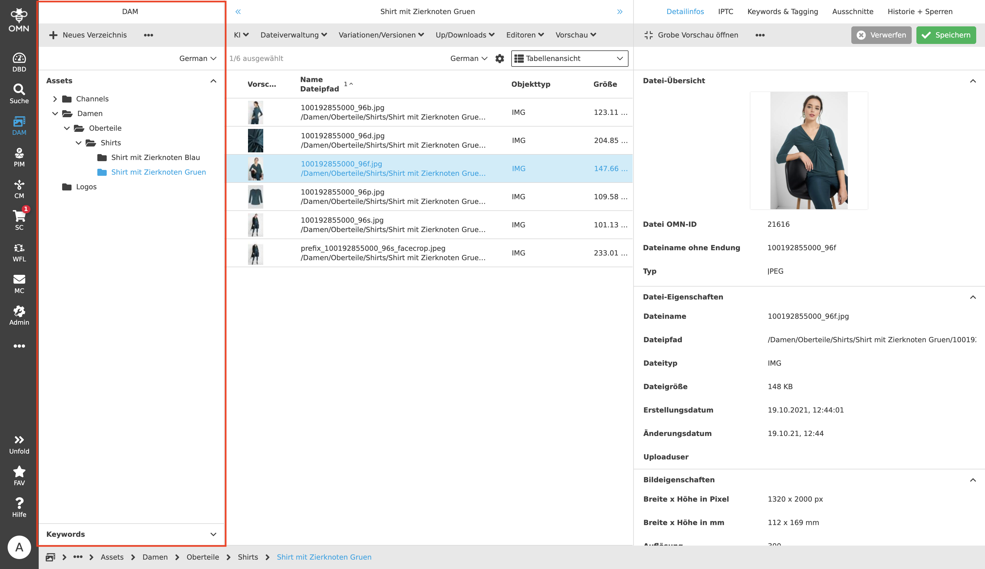 MainModule DAM LeftView