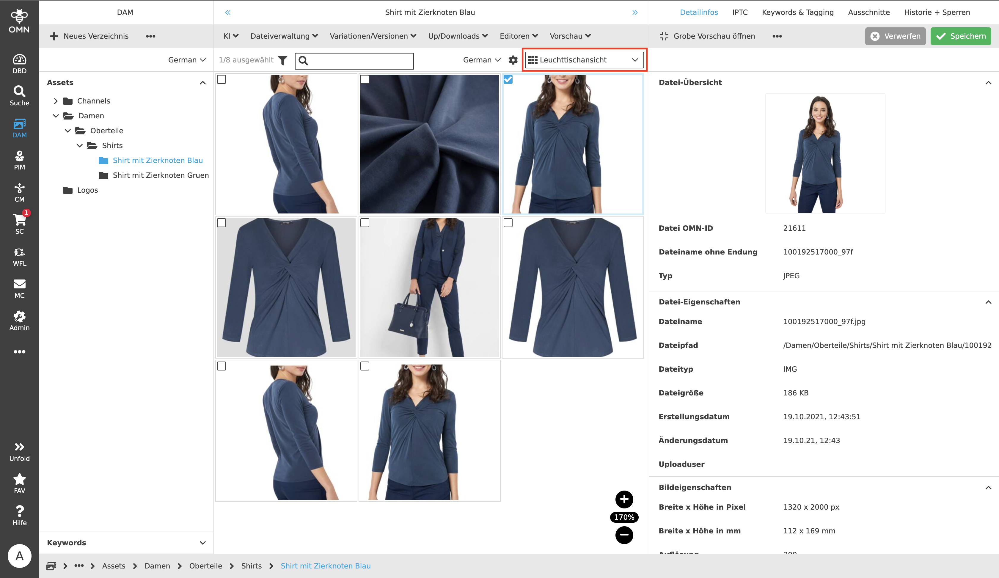 MainModule DAM LightView 01b