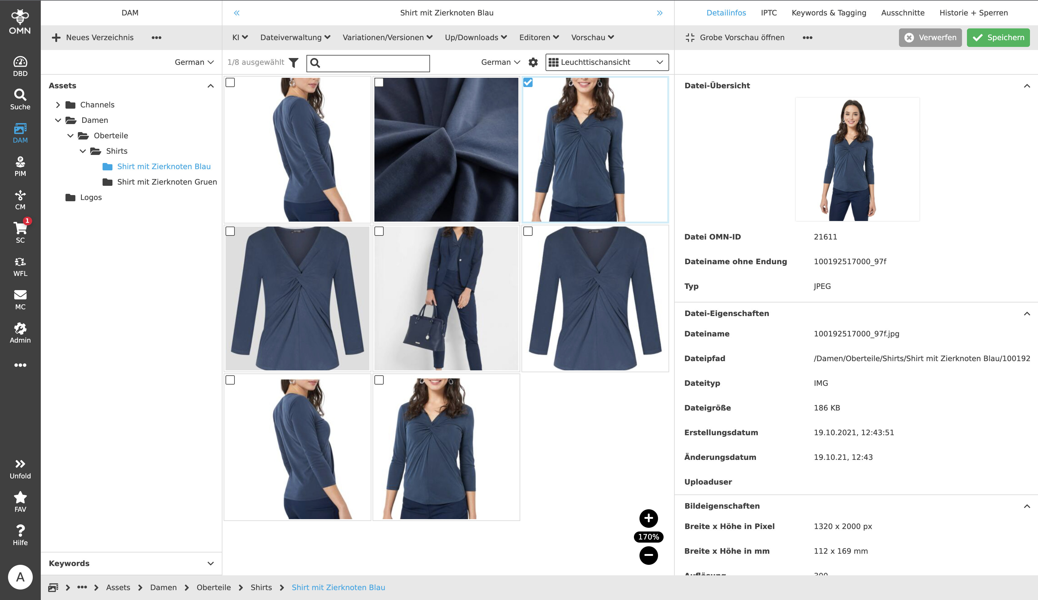 MainModule DAM LightView
