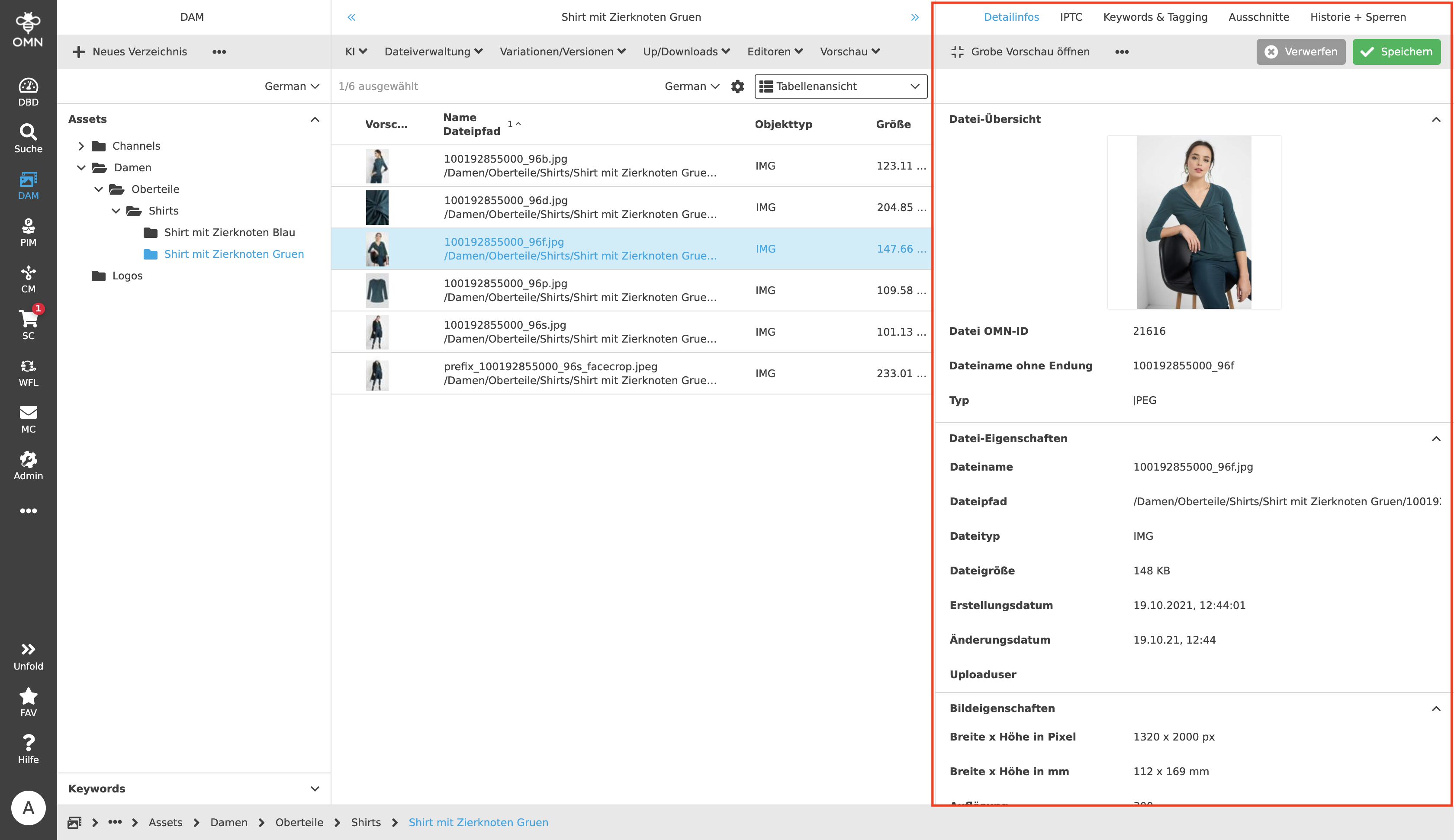 MainModule DAM RightView