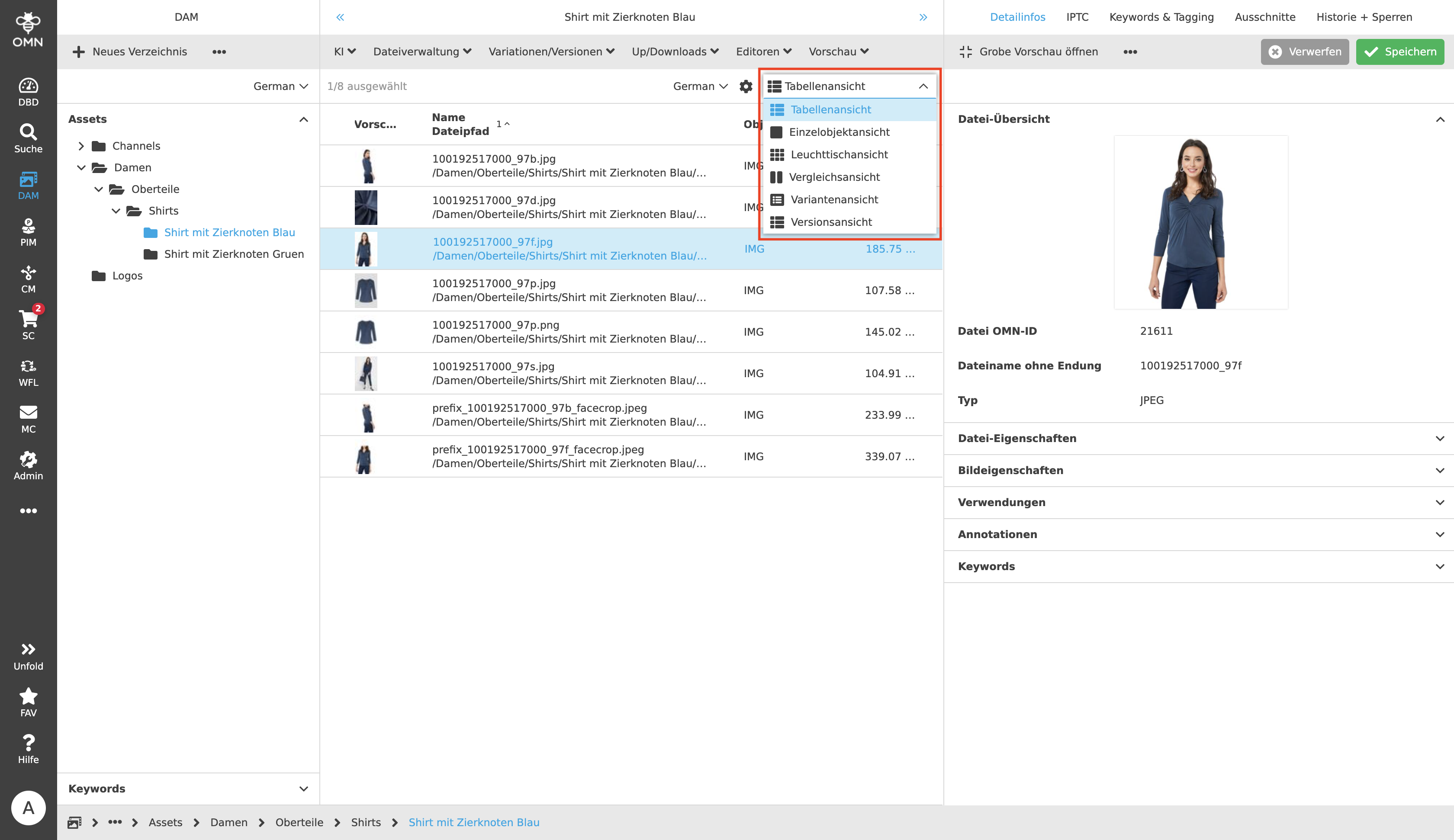 MainModule DAM Statusbar Views