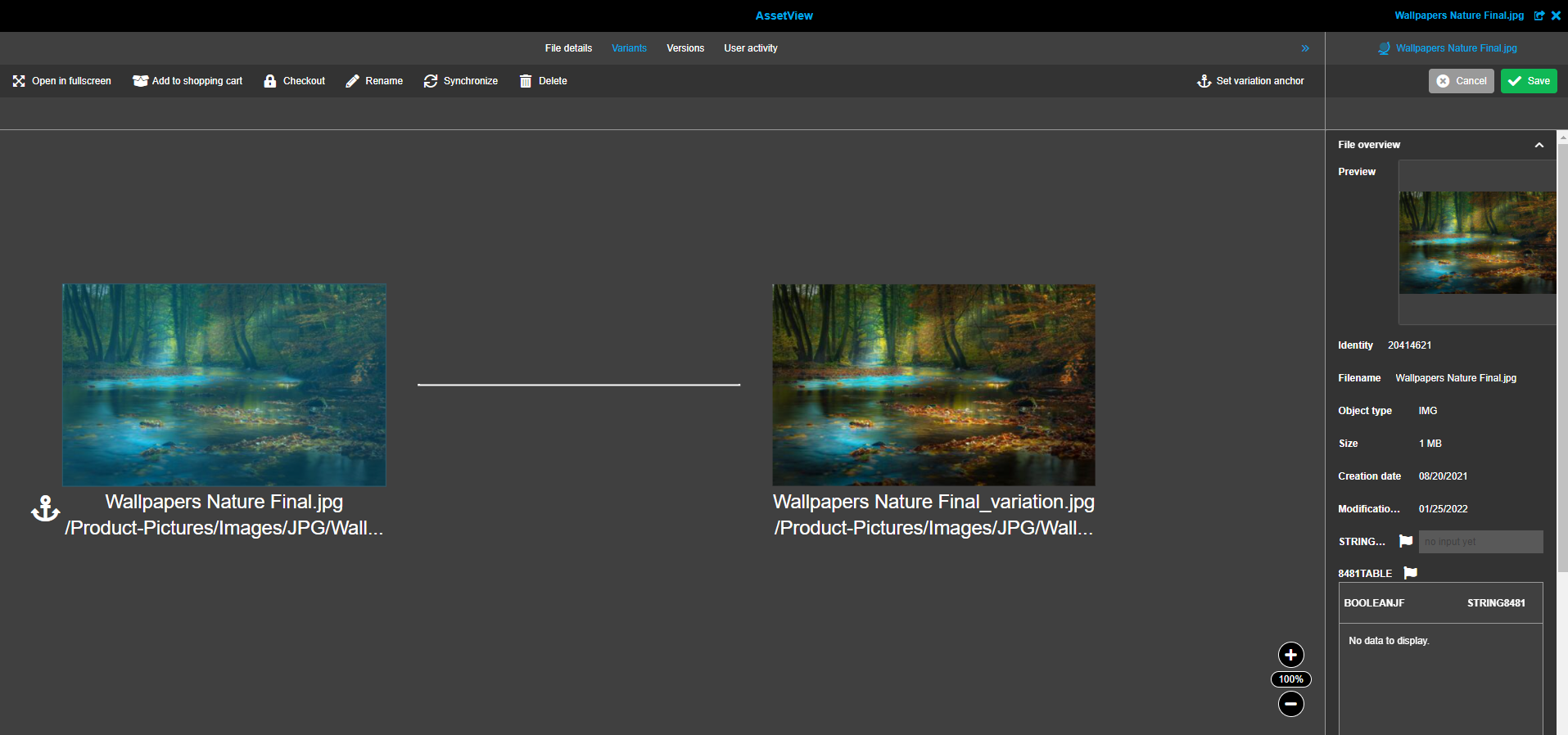 versioning variationView