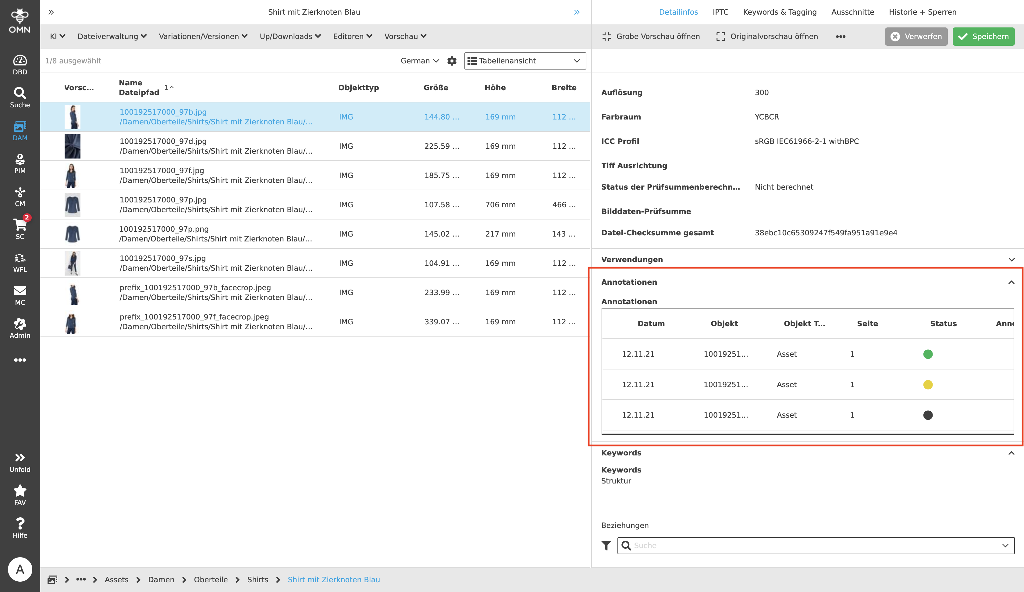 DAM FSDetail Annotations 01b