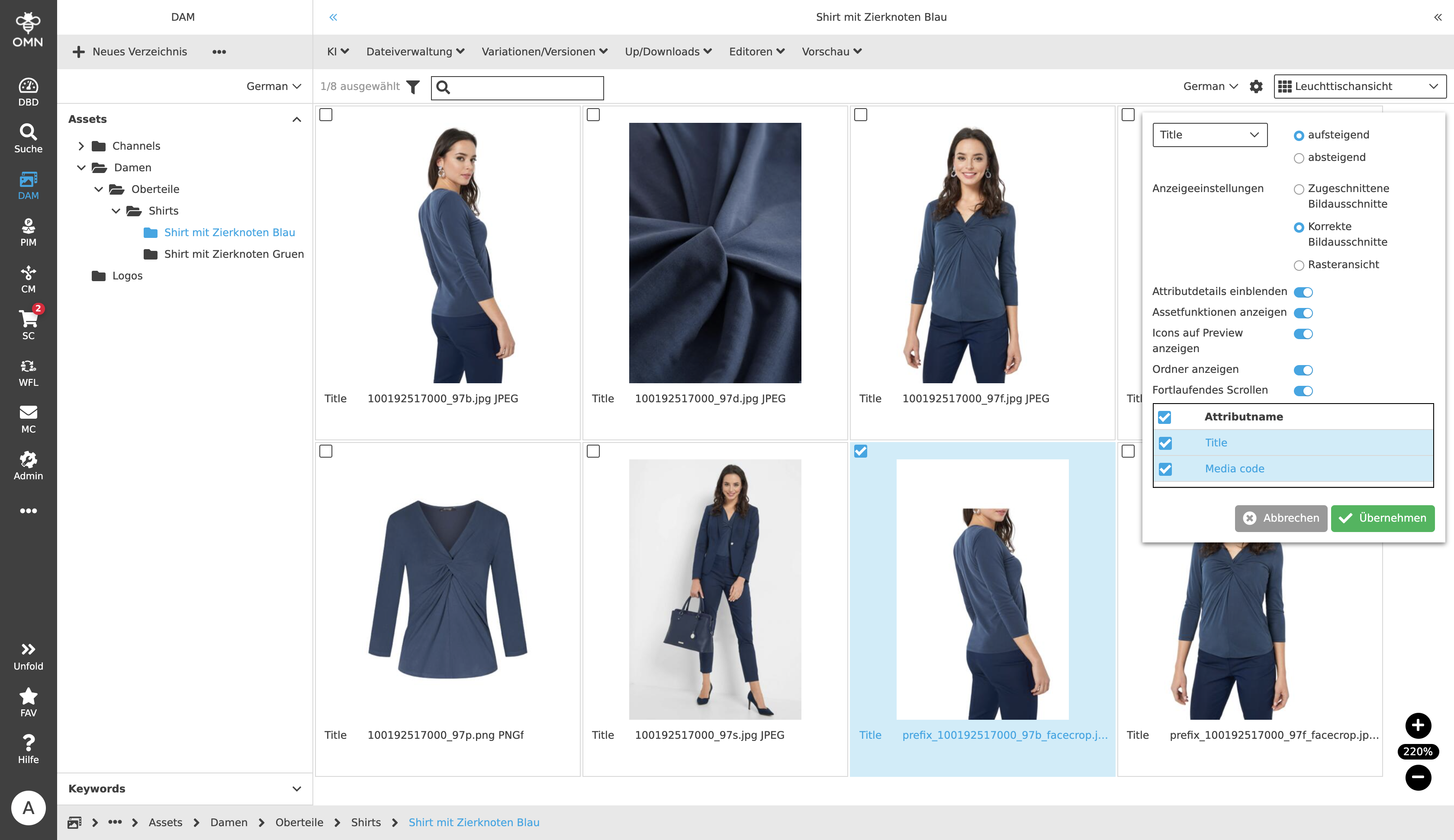DAM LightView Settings 02