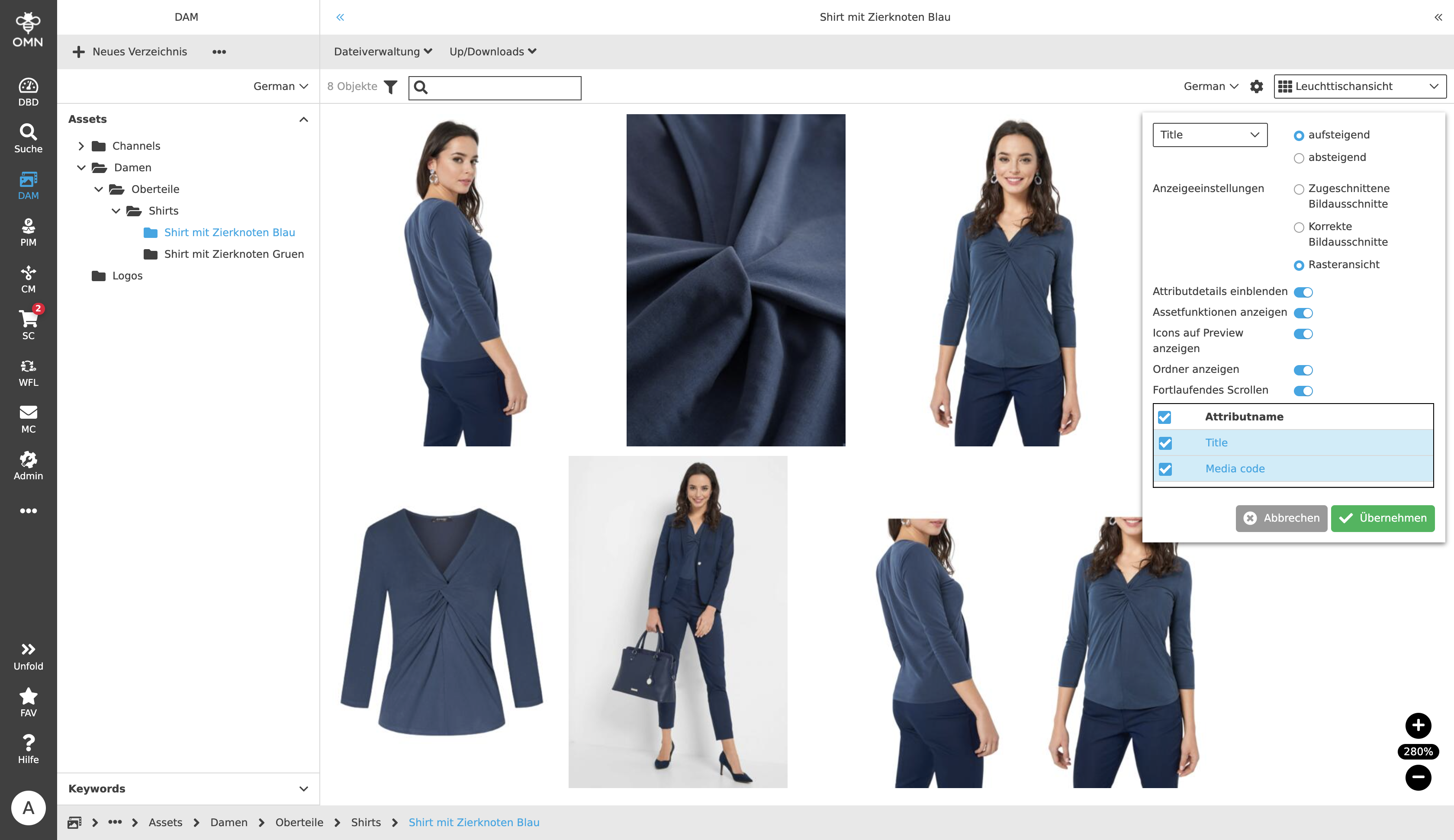DAM LightView Settings 03