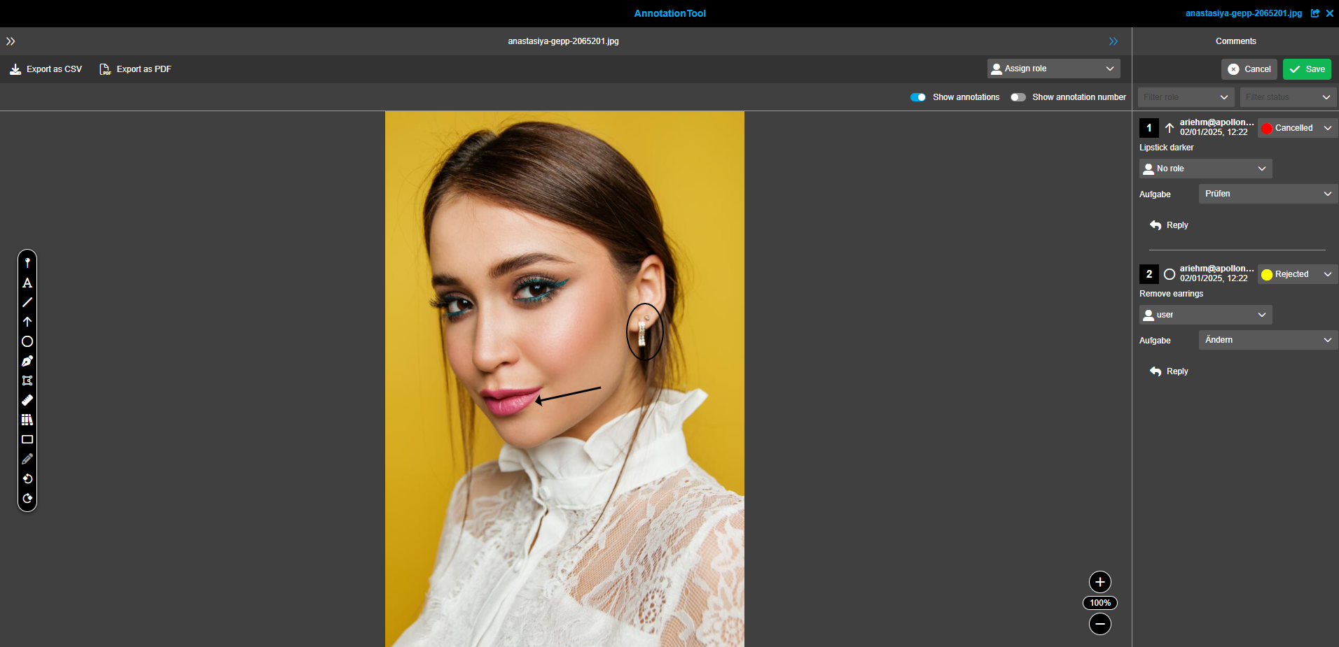 User Guide DAM annotationTool