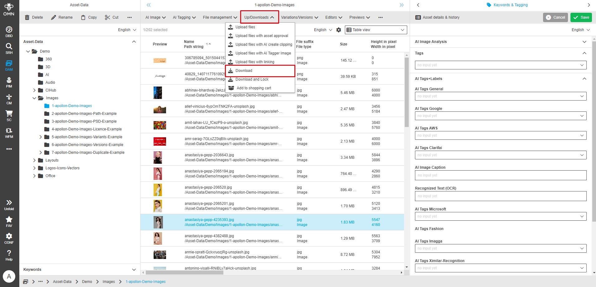 User Guide DAM directDownload