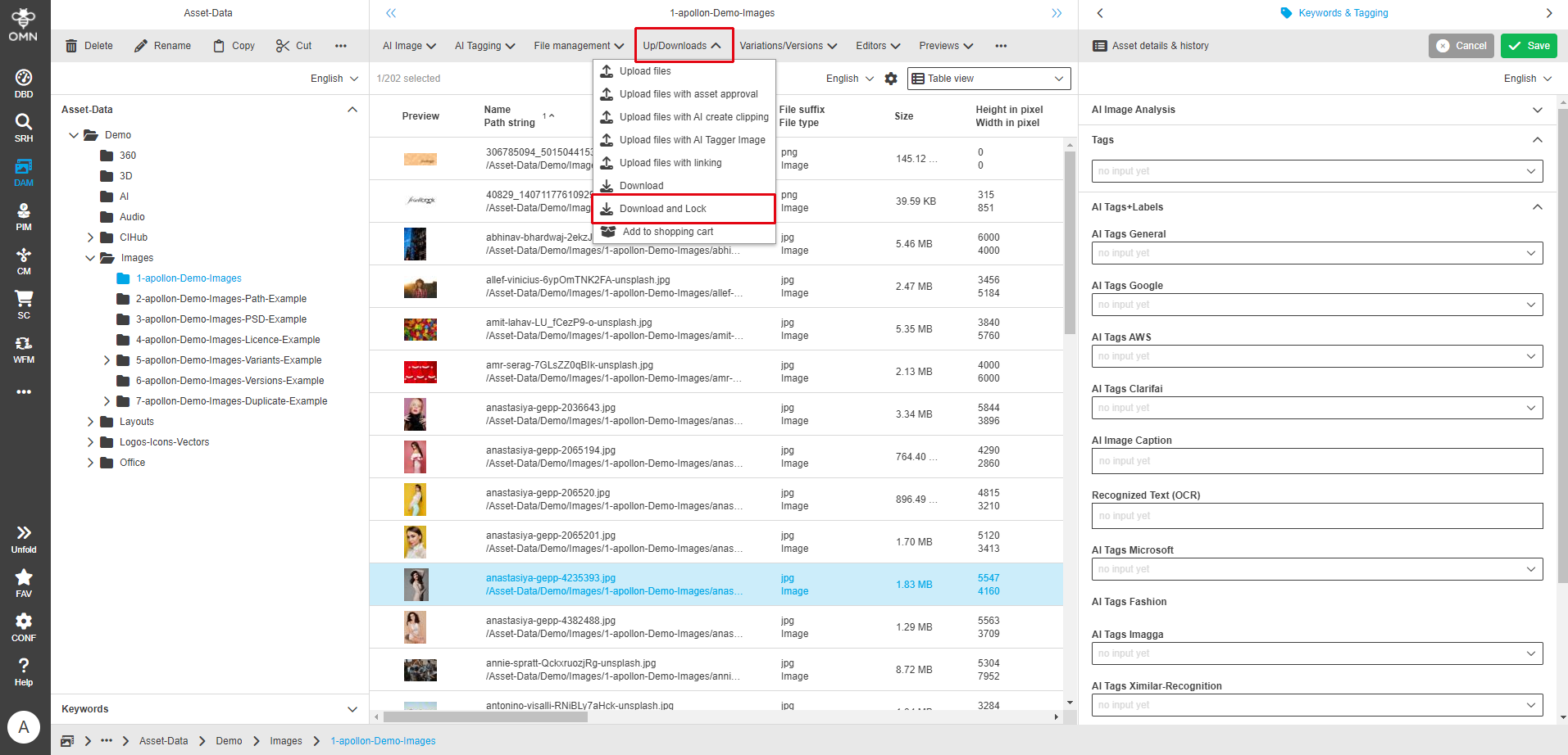 User Guide DAM directDownloadLock