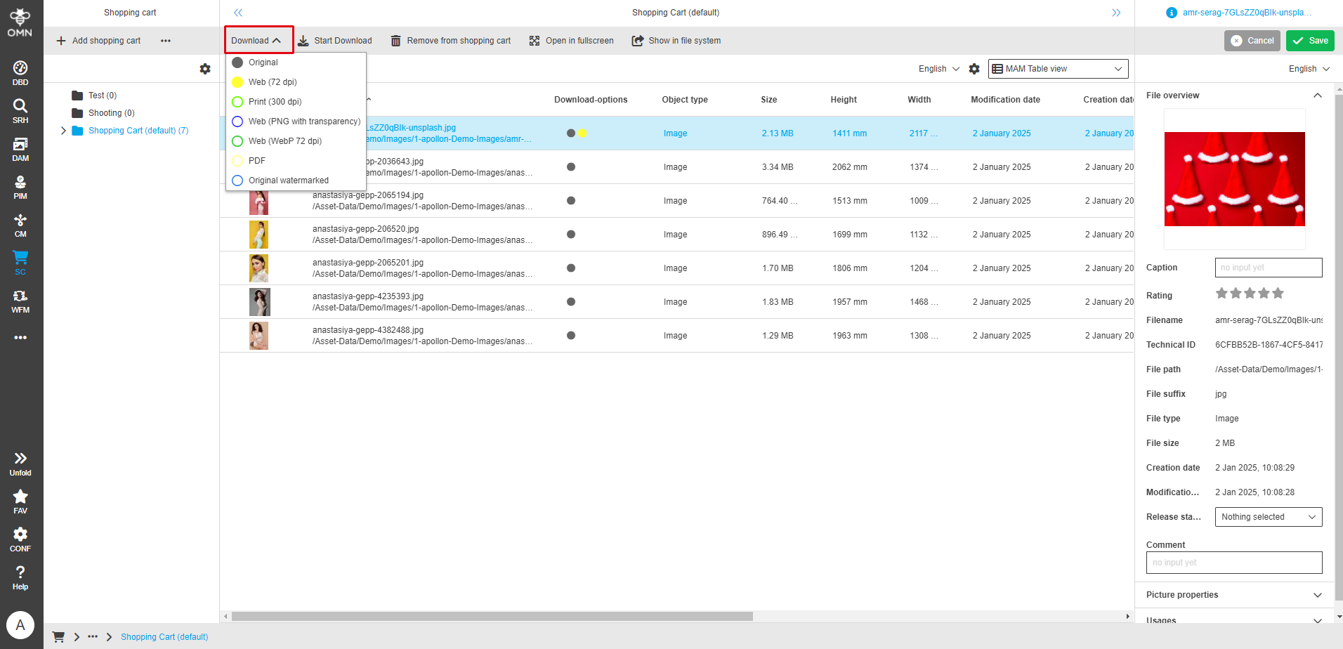 User Guide DAM downloadFunctions