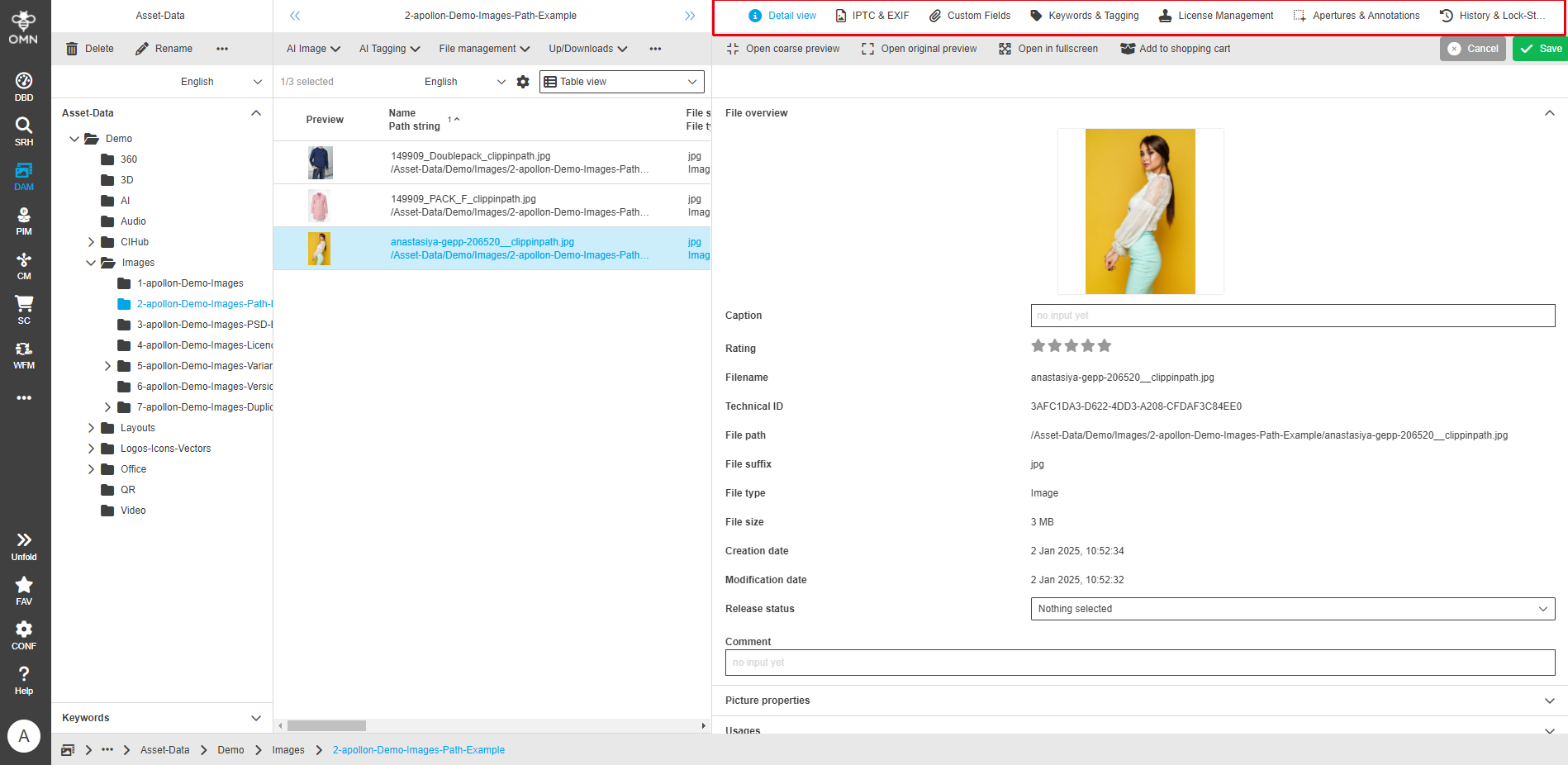 User Guide DAM fsDetailAll