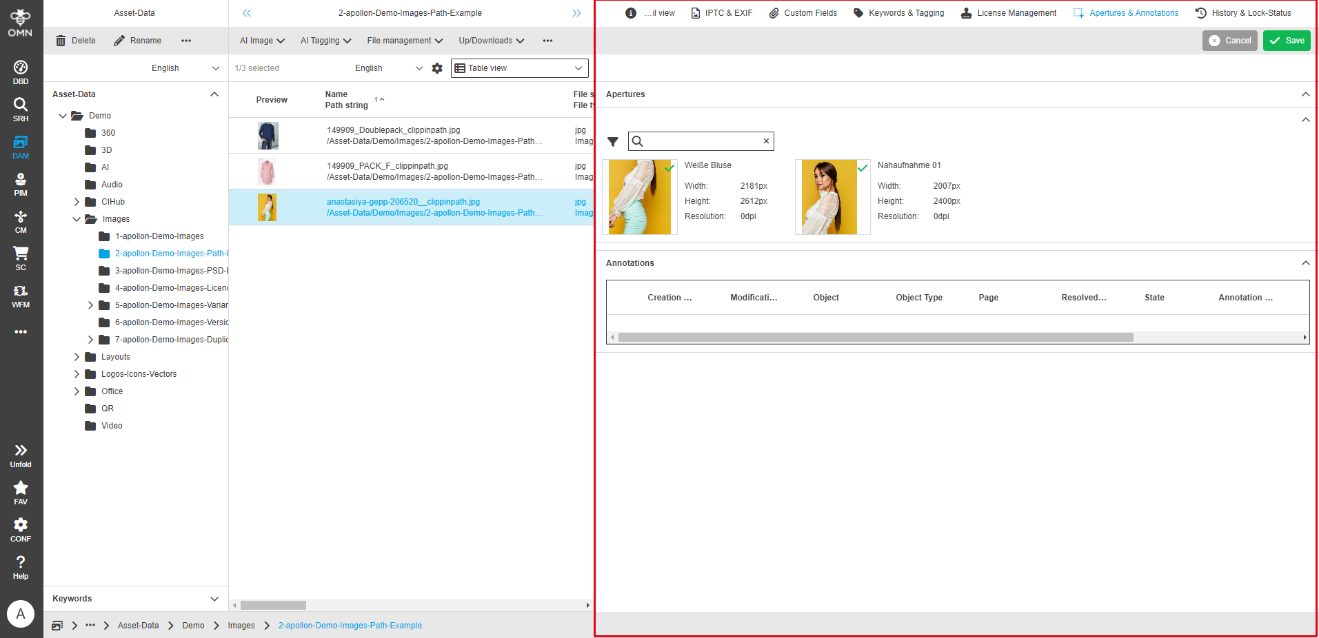 User Guide DAM fsDetailAperture