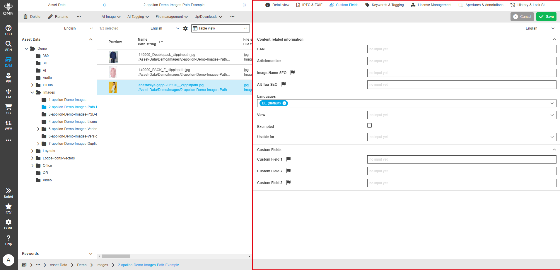 User Guide DAM fsDetailCustom
