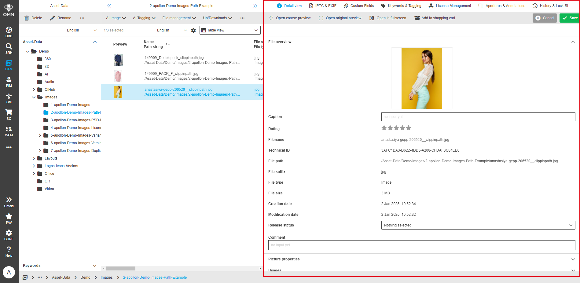 User Guide DAM fsDetailInfos