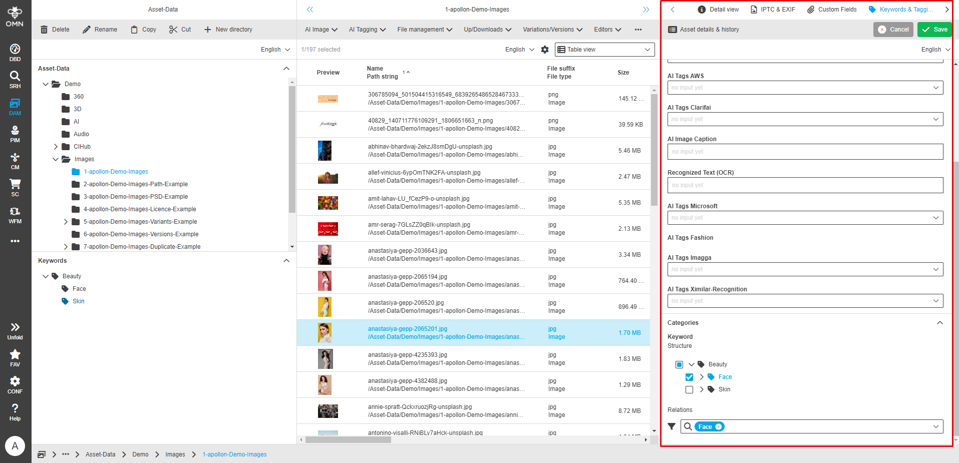 User Guide DAM fsDetailKeywords