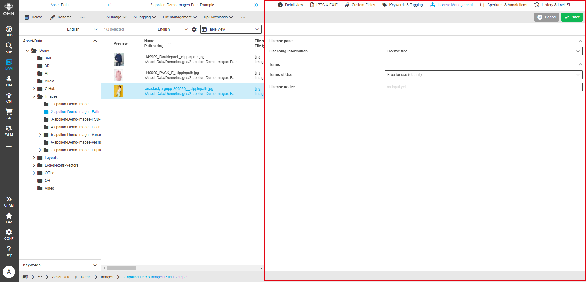 User Guide DAM fsDetailLicense