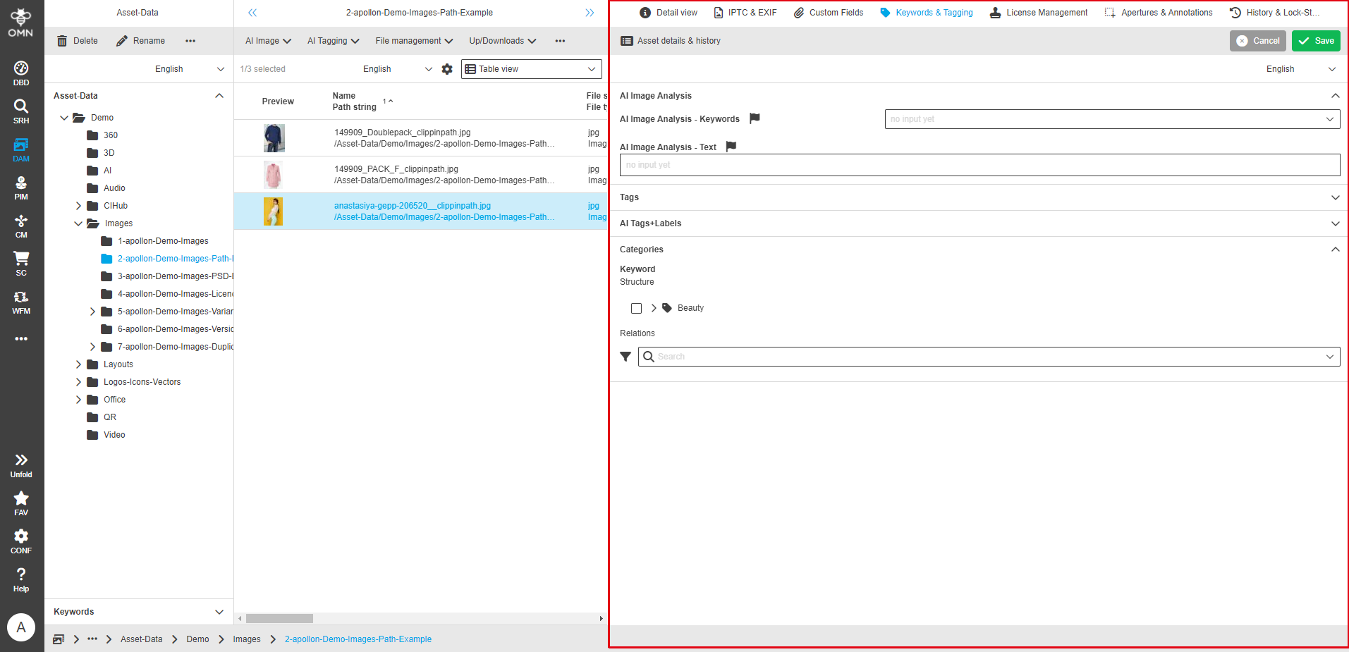 User Guide DAM fsDetailTagging