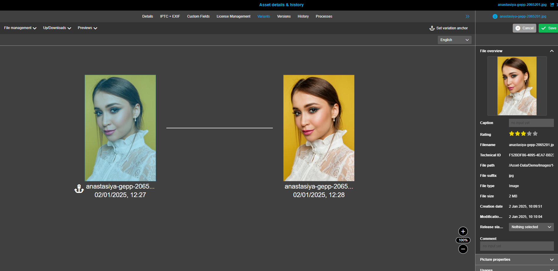 User Guide DAM historieVarianten