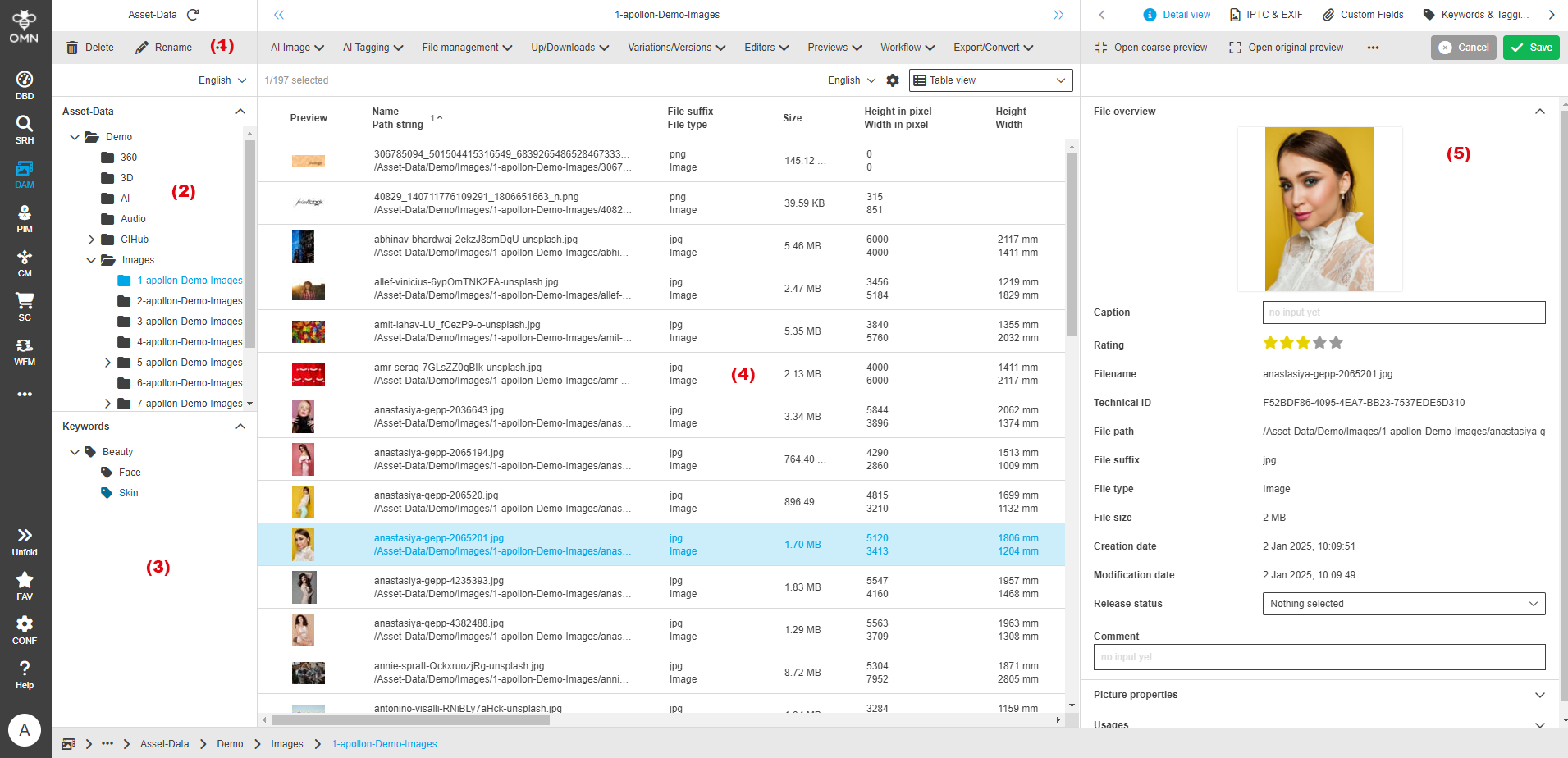 User Guide DAM structureInterface