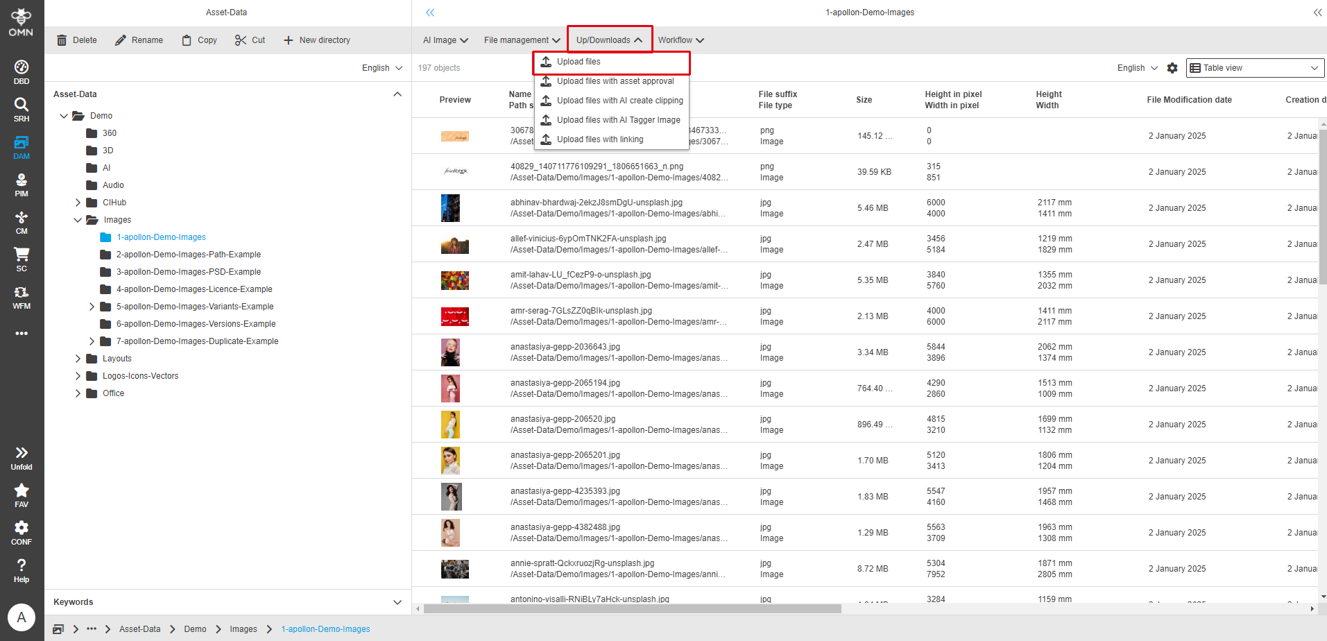 User Guide DAM upload