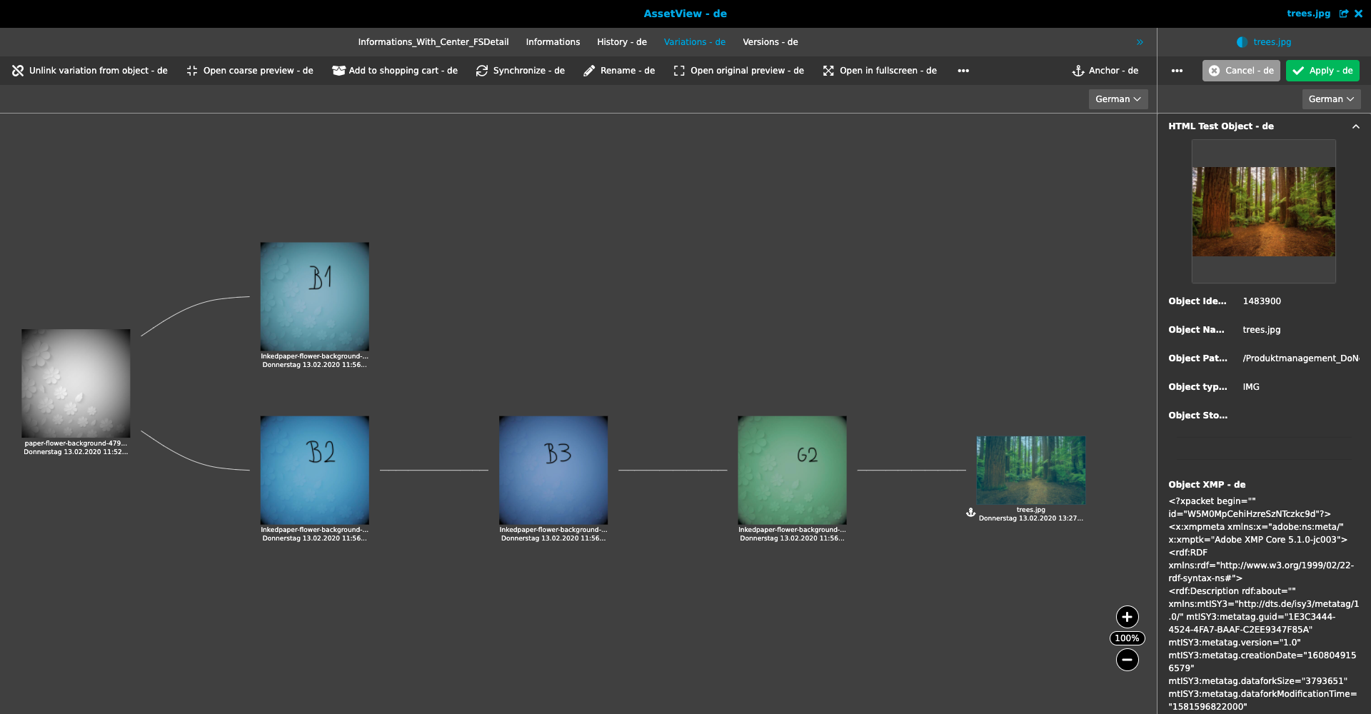 DAM AssetVariationVIew 01