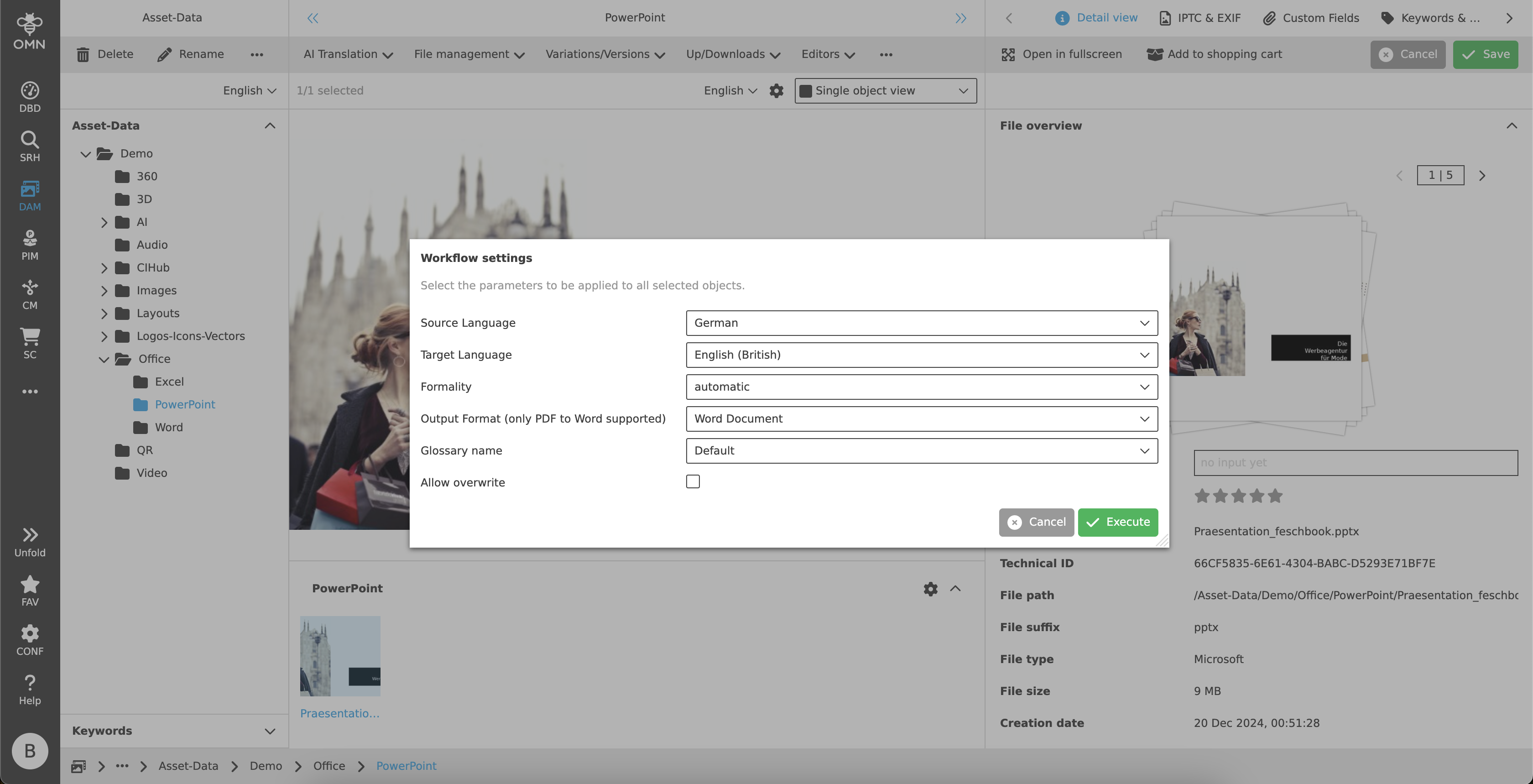 document translation